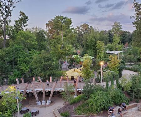 Skywalk Forest
