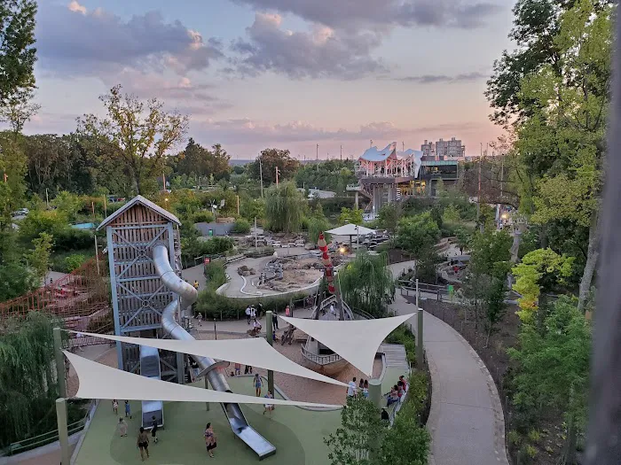 Skywalk Forest Picture 5