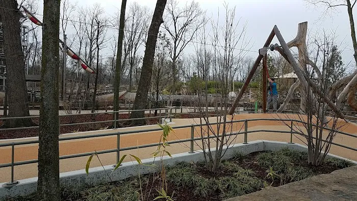 Skywalk Forest Picture 6