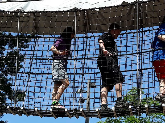 Skywalk Forest Picture 8