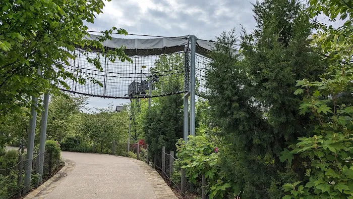 Skywalk Forest Picture 10