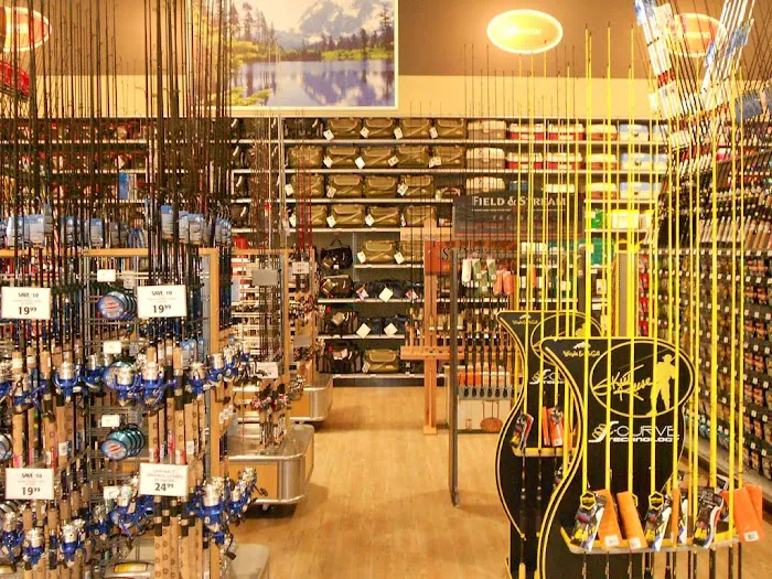 DICK'S Sporting Goods Picture 4