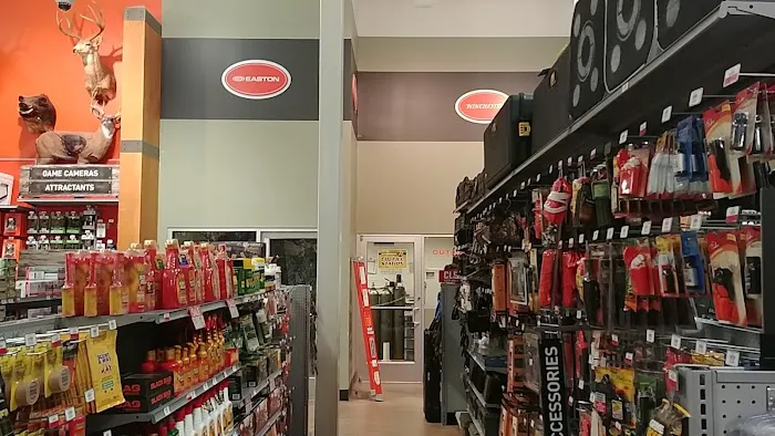 DICK'S Sporting Goods Picture 10