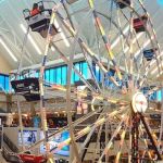 Scheels