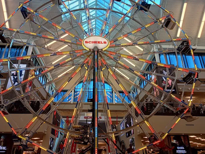 Scheels Picture 6