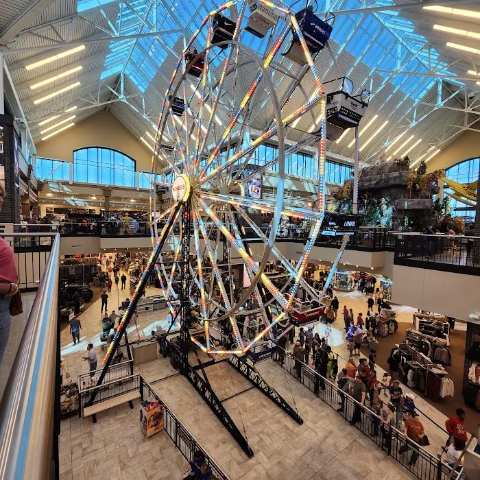 Scheels Picture 10