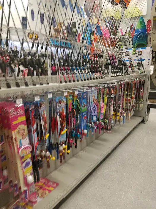 Academy Sports + Outdoors Picture 7