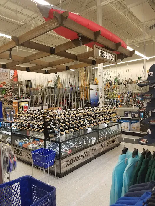 Academy Sports + Outdoors Picture 6