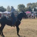 Pea Ridge Mule Jump