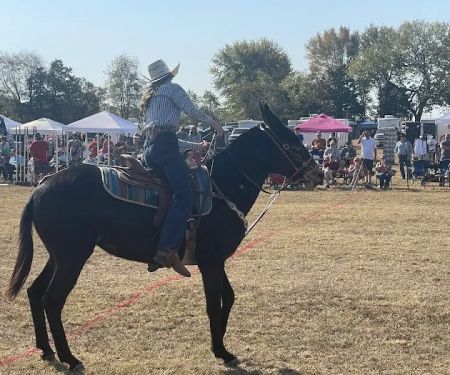 Pea Ridge Mule Jump