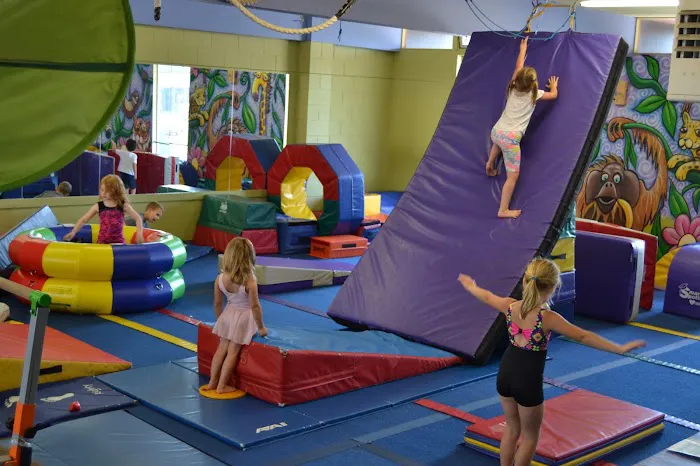 The Jungle Gym Picture 1