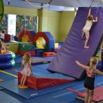 The Jungle Gym