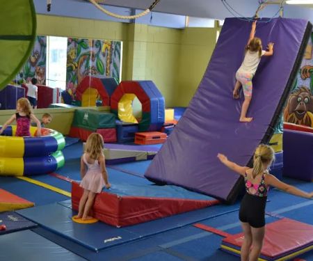 The Jungle Gym