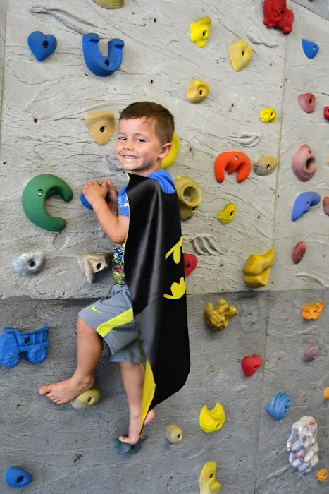 The Jungle Gym Picture 9