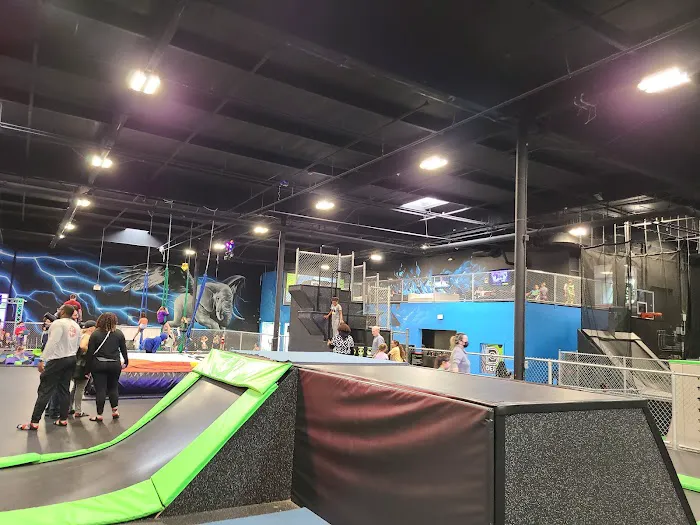 Sky Zone Trampoline Park Picture 6