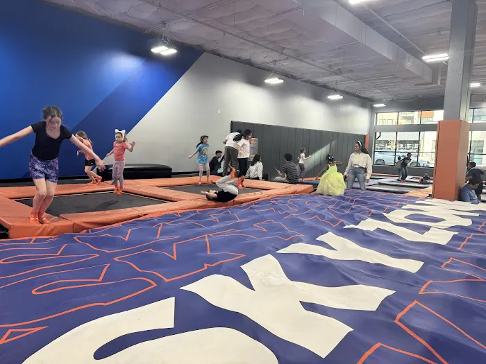 Sky Zone Trampoline Park Picture 8