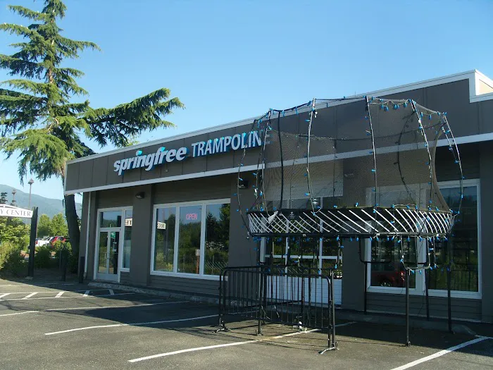 Springfree Trampoline Issaquah Picture 5