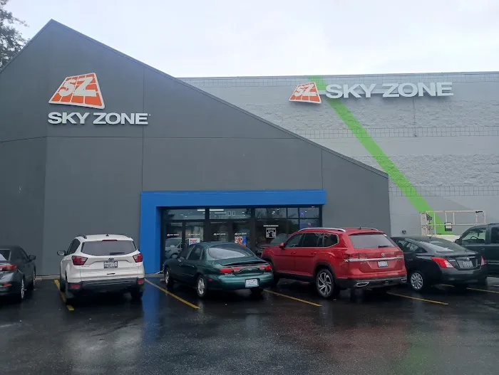 Sky Zone Trampoline Park Picture 4