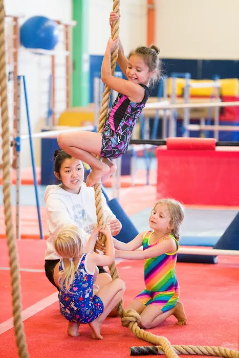Seattle Gymnastics Academy - Ballard Picture 5