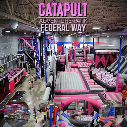 Catapult Adventure Park Picture 3
