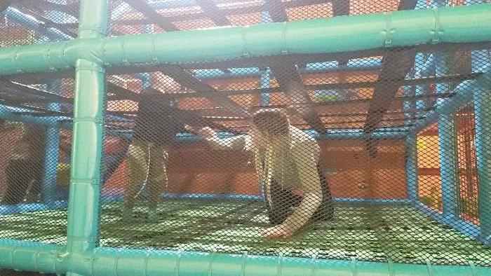 Funtastic Playtorium Tacoma Picture 6