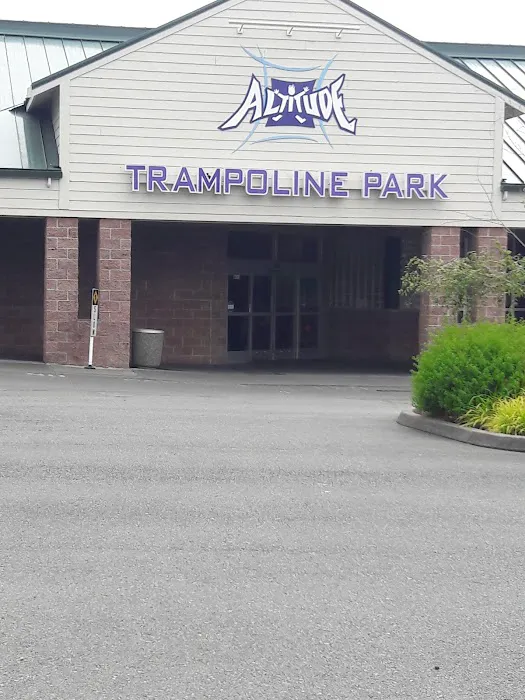 Altitude Trampoline Park Marysville Picture 2