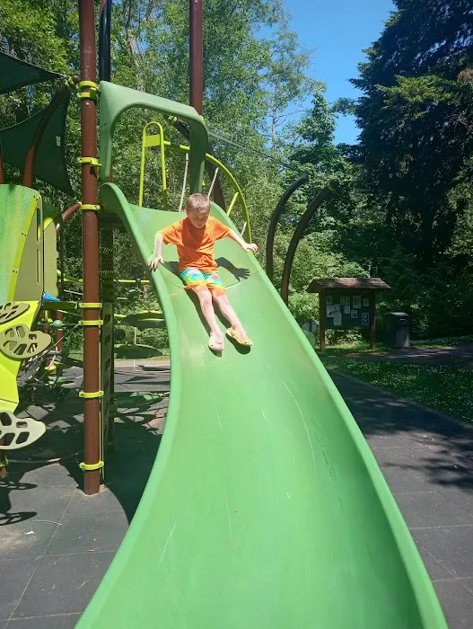 Altitude Trampoline Park Marysville Picture 10
