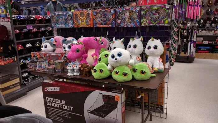 Big 5 Sporting Goods Picture 7