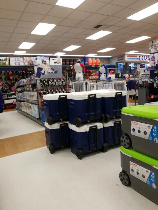 Big 5 Sporting Goods Picture 9