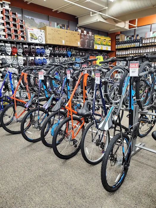 DICK'S Sporting Goods Picture 8