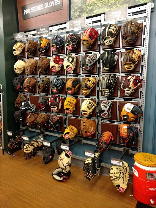 DICK'S Sporting Goods Picture 4