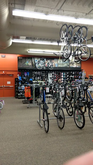 DICK'S Sporting Goods Picture 5