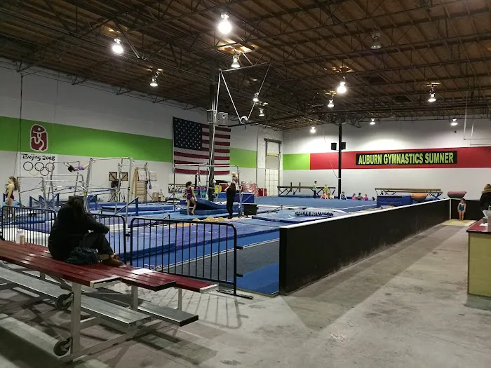 Auburn Gymnastics - Sumner Picture 3