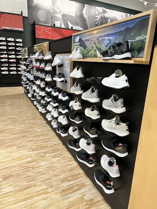 DICK'S Sporting Goods Picture 10