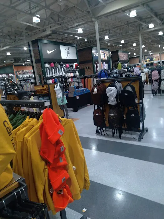 DICK'S Sporting Goods Picture 2