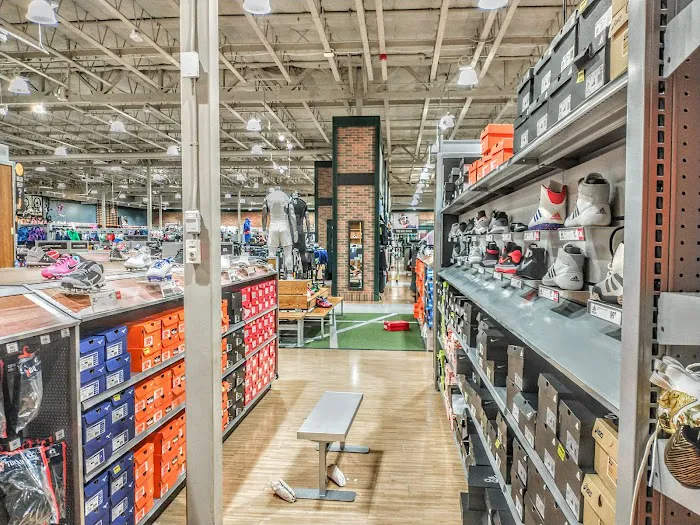 DICK'S Sporting Goods Picture 5