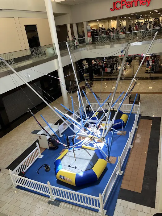 Eurobungy Picture 1
