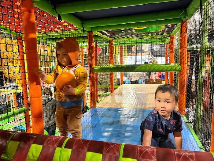 Wild Katz - Children's Adventure Playground Picture 8