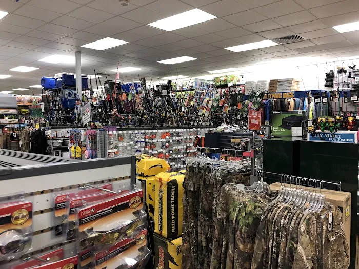 Big 5 Sporting Goods Picture 4