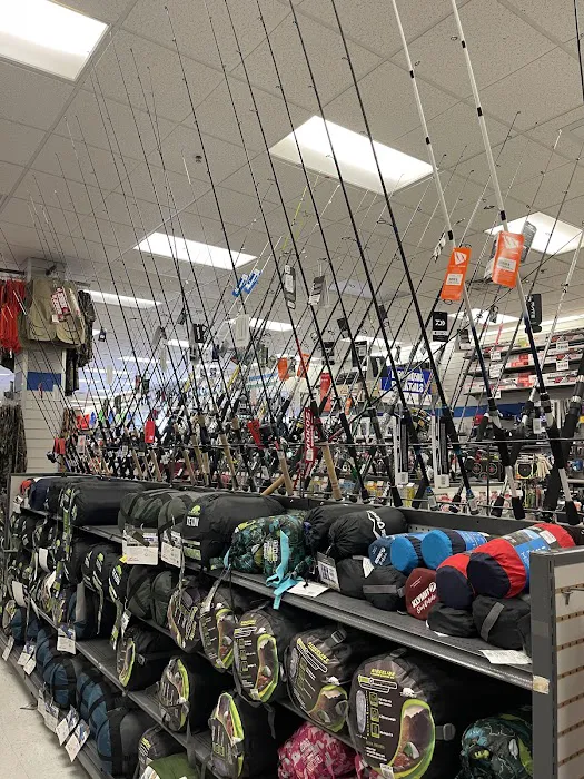 Big 5 Sporting Goods Picture 1