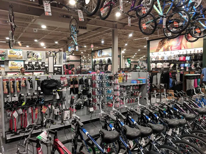 DICK'S Sporting Goods Picture 5