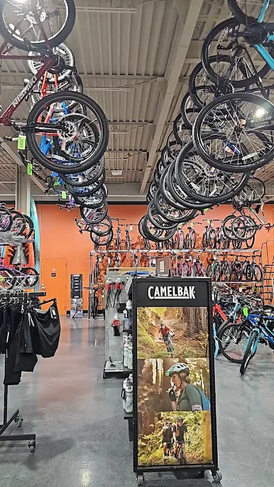 DICK'S Sporting Goods Picture 9