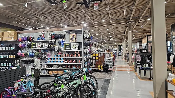 DICK'S Sporting Goods Picture 8