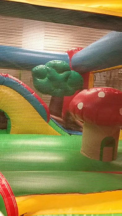 Vista Jump N Play Picture 7
