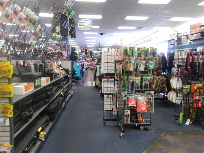 Big 5 Sporting Goods Picture 5
