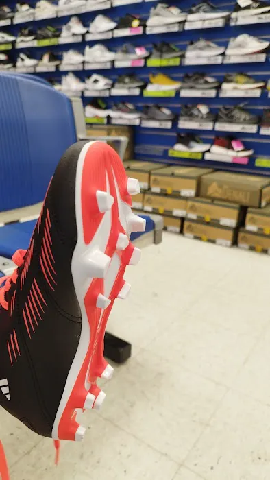 Big 5 Sporting Goods Picture 7