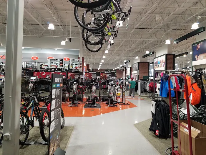 DICK'S Sporting Goods Picture 8