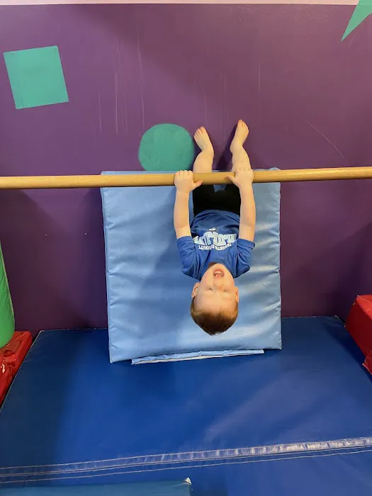 Omaha Gymnastics Academy, North Campus Picture 4