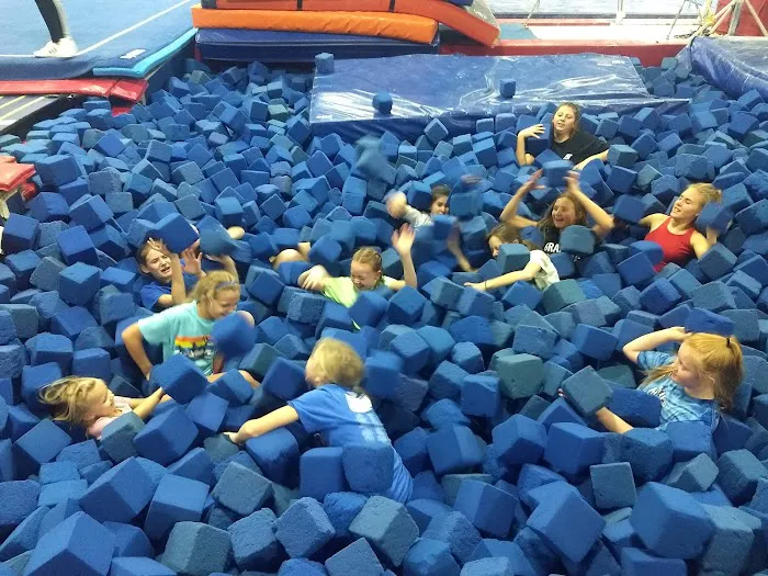 Omaha Gymnastics Academy, North Campus Picture 10