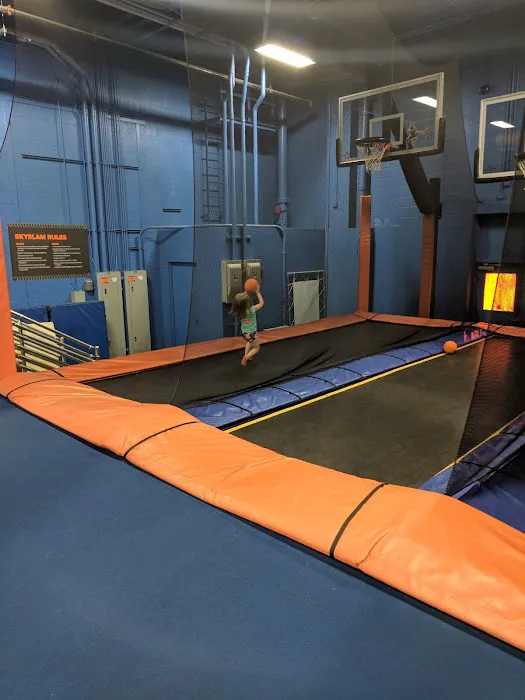 Sky Zone Trampoline Park Picture 3